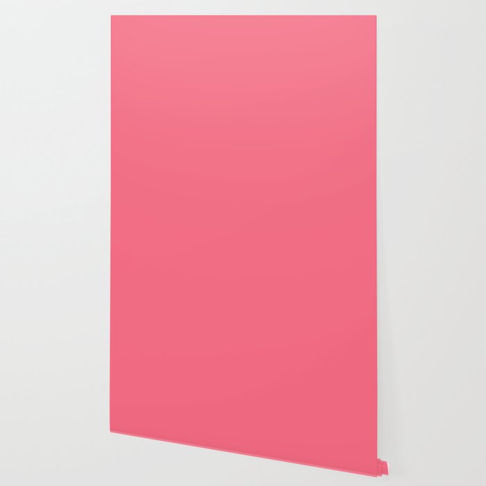 Bright Watermelon Pink Solid Colour  Wallpaper Gallery Image 2