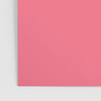 Bright Watermelon Pink Solid Colour  Poster Gallery Image 3