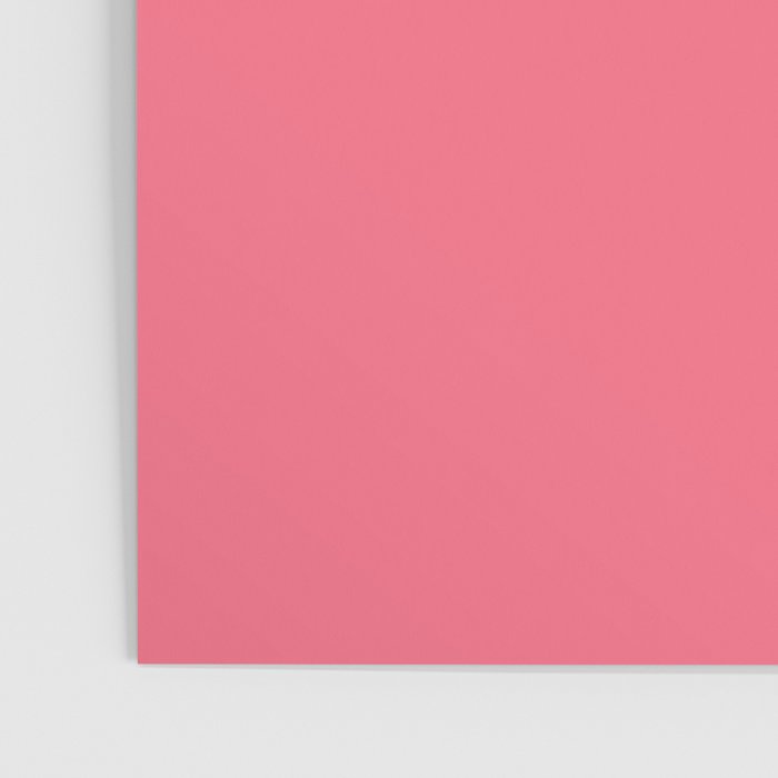Bright Watermelon Pink Solid Colour  Poster Gallery Image 3