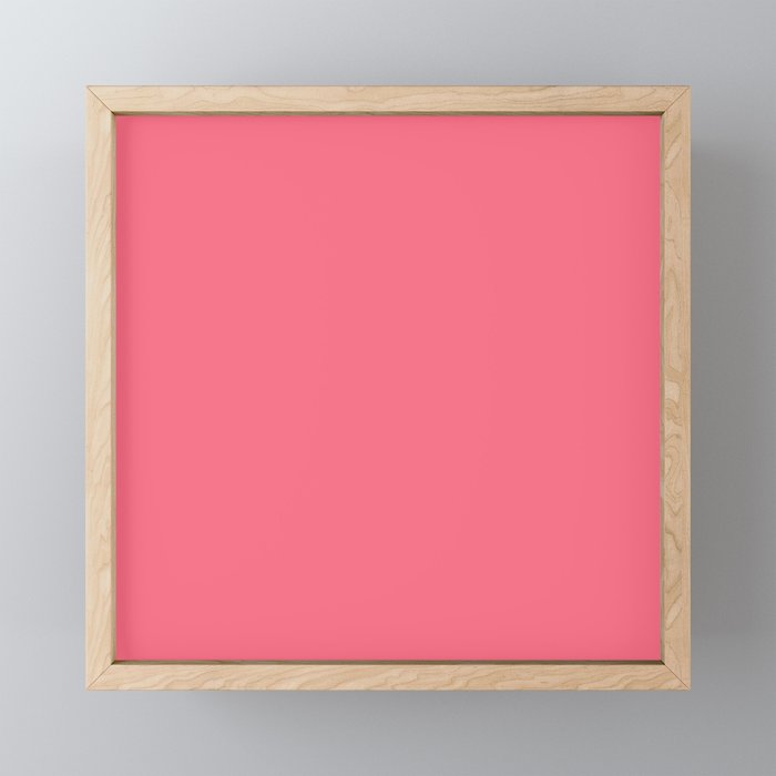Bright Watermelon Pink Solid Colour  Mini Art Print Gallery Image 1