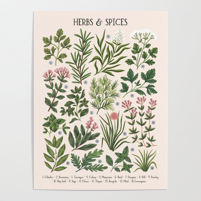 Herbs & Spices - beige Poster Gallery Image 1
