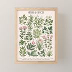 Herbs & Spices - beige Mini Art Print Gallery Image 1