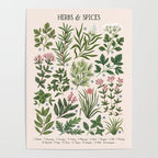 Herbs & Spices - beige Poster Gallery Image 4
