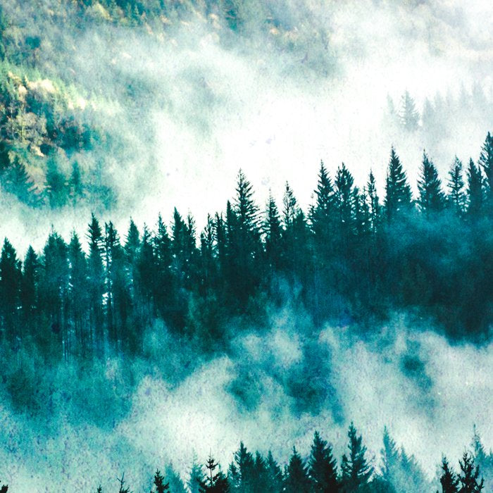 Adventure Forest IV - Pacific Northwest Wanderlust Coffee Mug Gallery Image 2