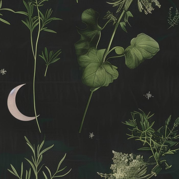 Full Moon Forest - Dreaming Crescent Moon Botanical  Coffee Mug Gallery Image 2