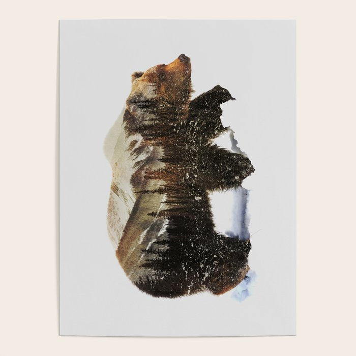 Arctic Grizzly Bear Poster Gallery Image 1