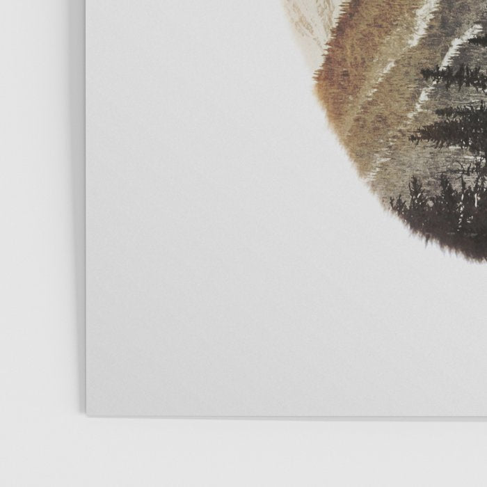 Arctic Grizzly Bear Poster Gallery Image 3