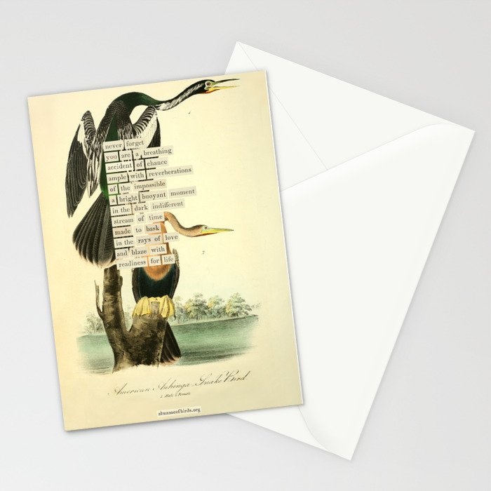Bird Divinations: Snake Bird (about: almanacofbirds.org) Stationery Card Gallery Image 2