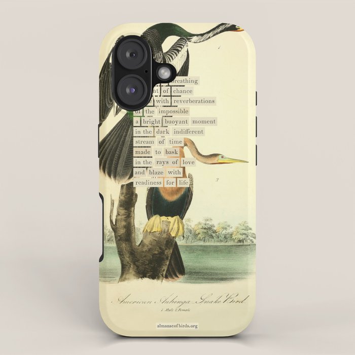 Bird Divinations: Snake Bird (about: almanacofbirds.org) iPhone Case Gallery Image 1
