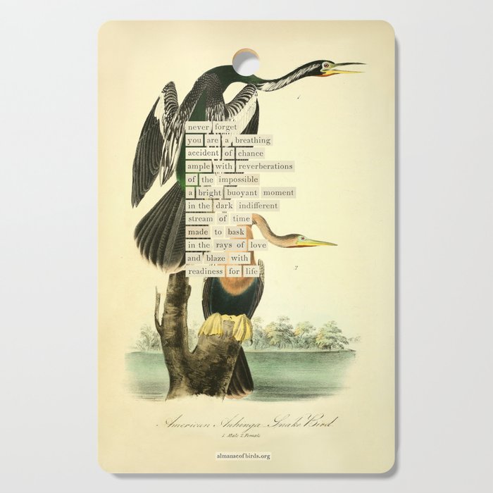 Bird Divinations: Snake Bird (about: almanacofbirds.org) Cutting Board Gallery Image 1