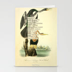 Bird Divinations: Snake Bird (about: almanacofbirds.org) Stationery Card Gallery Image 2