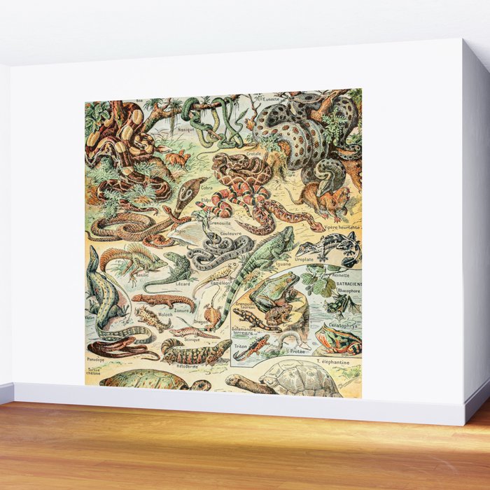 Reptiles II by Adolphe Millot // XL 19th Century Snakes Lizards Alligators Science Textbook Artwork Wall Mural Gallery Image 2