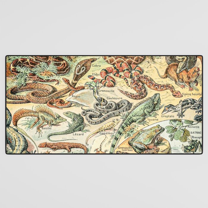 Reptiles II by Adolphe Millot // XL 19th Century Snakes Lizards Alligators Science Textbook Artwork Desk Mat Gallery Image 3
