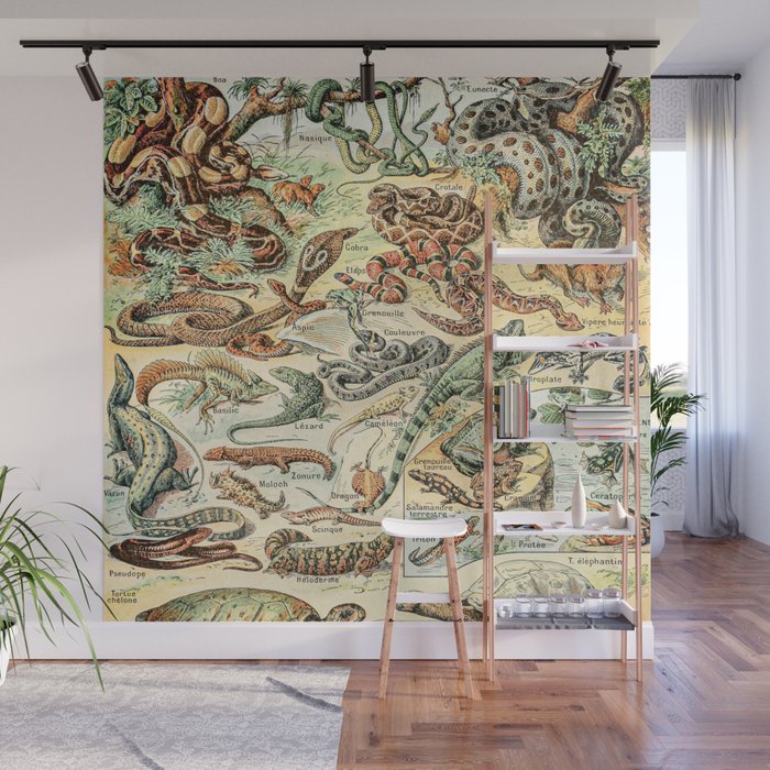 Reptiles II by Adolphe Millot // XL 19th Century Snakes Lizards Alligators Science Textbook Artwork Wall Mural Gallery Image 1