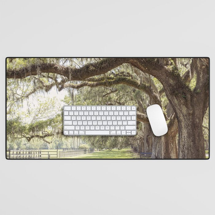 Lowcountry Avenue of Oaks x South Carolina Photography Desk Mat Gallery Image 1