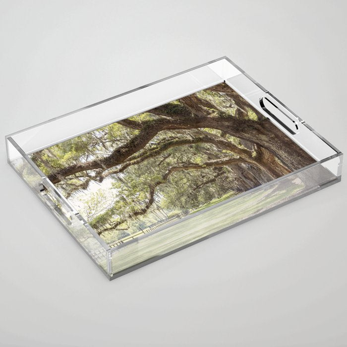 Lowcountry Avenue of Oaks x South Carolina Photography Acrylic Tray Gallery Image 1