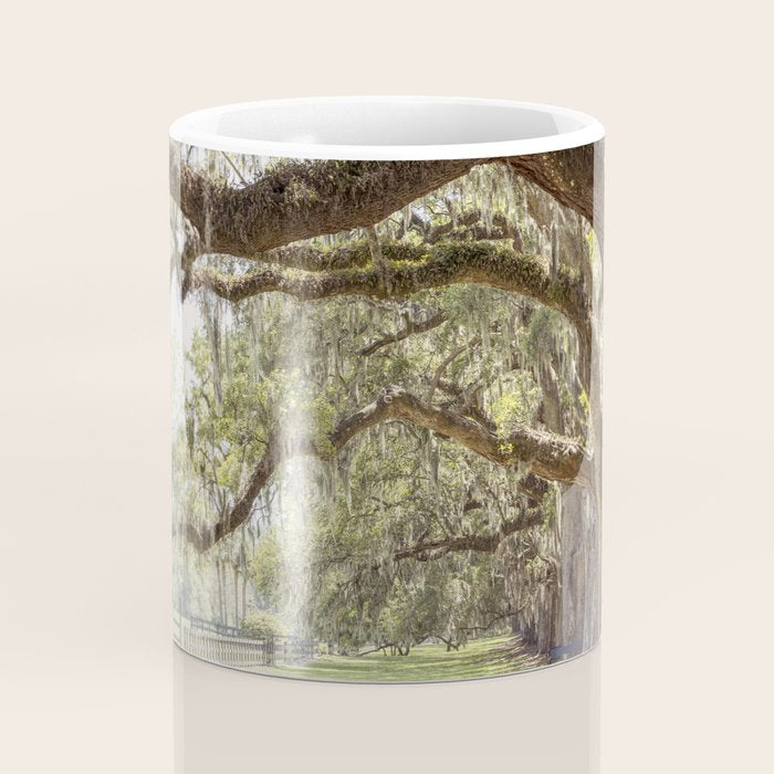 Lowcountry Avenue of Oaks x South Carolina Photography Coffee Mug Gallery Image 4