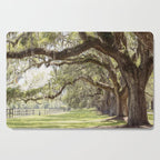 Lowcountry Avenue of Oaks x South Carolina Photography Cutting Board Gallery Image 1