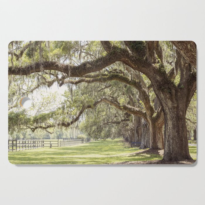 Lowcountry Avenue of Oaks x South Carolina Photography Cutting Board Gallery Image 1