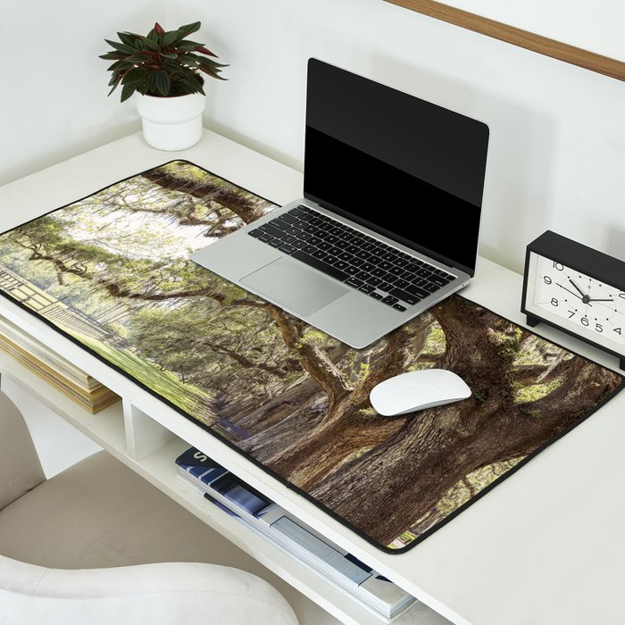 Lowcountry Avenue of Oaks x South Carolina Photography Desk Mat Gallery Image 2