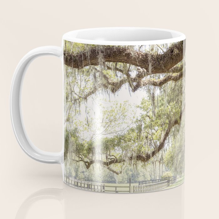 Lowcountry Avenue of Oaks x South Carolina Photography Coffee Mug Gallery Image 3