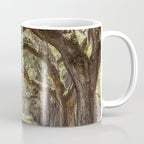 Lowcountry Avenue of Oaks x South Carolina Photography Coffee Mug Gallery Image 1