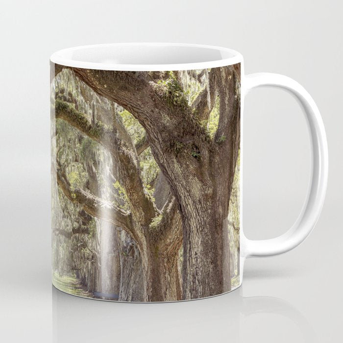 Lowcountry Avenue of Oaks x South Carolina Photography Coffee Mug Gallery Image 1