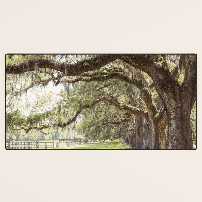 Lowcountry Avenue of Oaks x South Carolina Photography Desk Mat Gallery Image 3