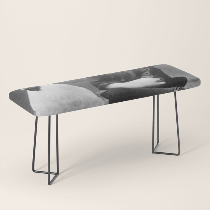Smoking Boy with Chicken black and white photograph - photography - photographs Bench Gallery Image 1