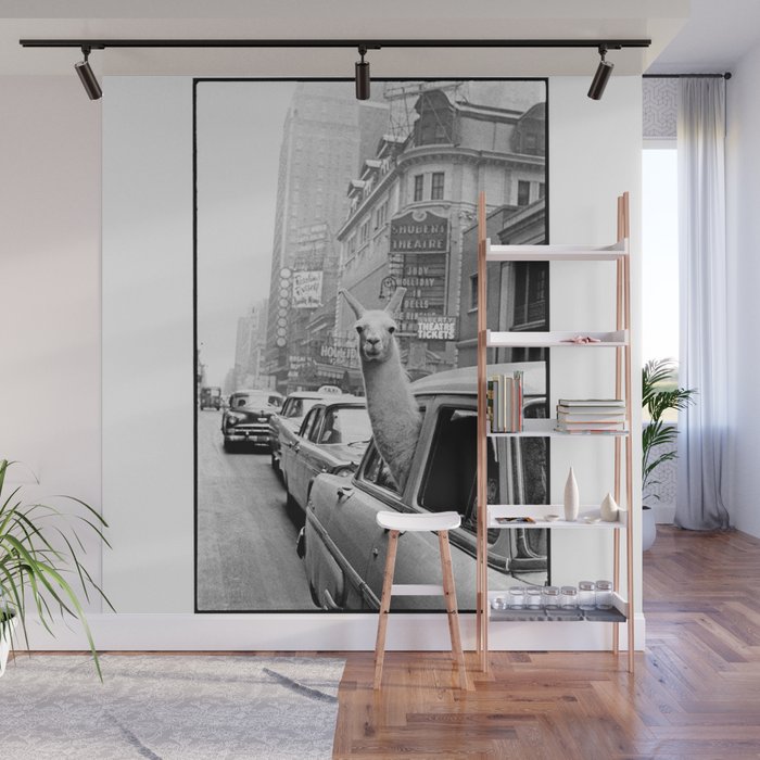 llama in times square print - a llama in times square-Llama Riding in Taxi, Black and White Vintage Wall Mural Gallery Image 1