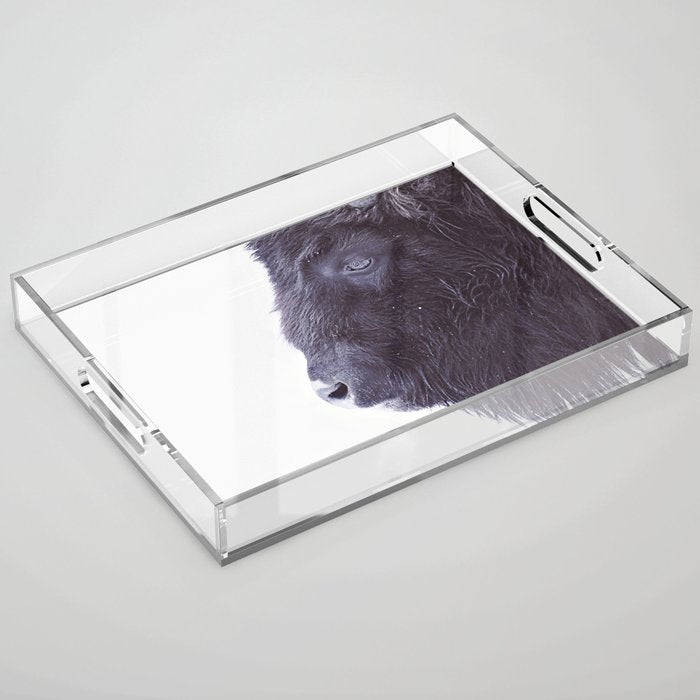 BLACK BUFFALO Acrylic Tray Gallery Image 1