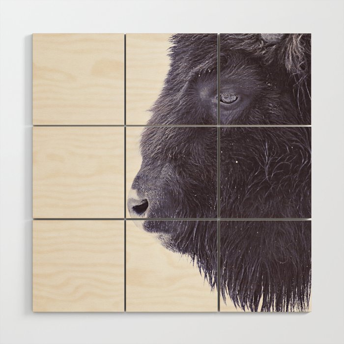 BLACK BUFFALO Wood Wall Art Gallery Image 1