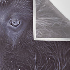 BLACK BUFFALO Wall Tapestry Gallery Image 3