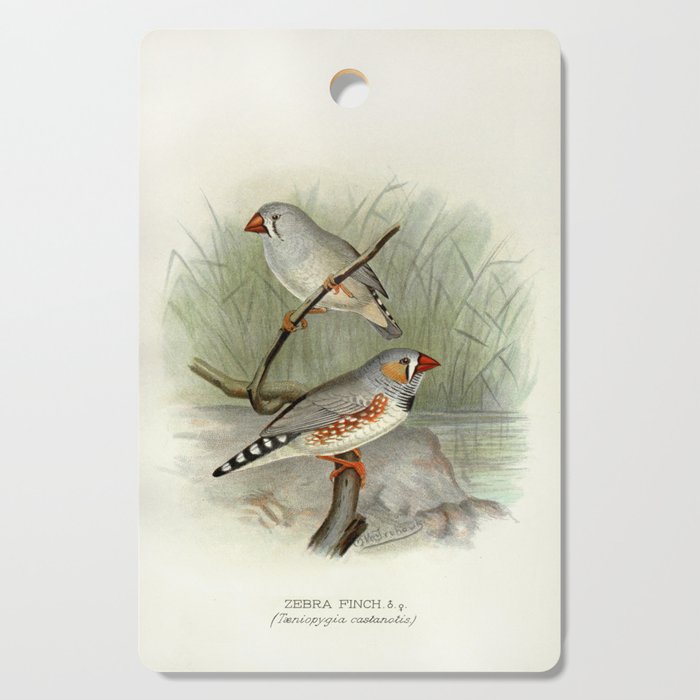 Zebra finch by F. W. Frohawk, 1899 (benefitting The Audubon Society) Cutting Board Gallery Image 1