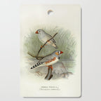Zebra finch by F. W. Frohawk, 1899 (benefitting The Audubon Society) Cutting Board Gallery Image 1