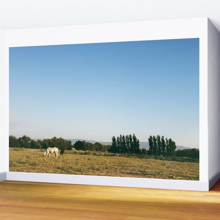 HORSES IN CALIFORNIA Wall Mural Gallery Image 2