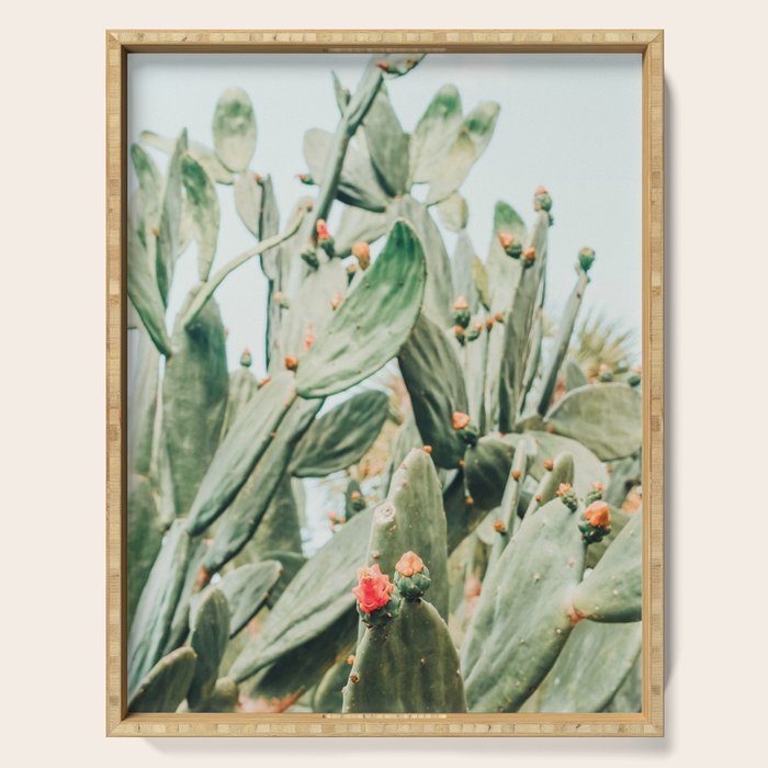 Pretty Cactus Serving Tray Gallery Image 1