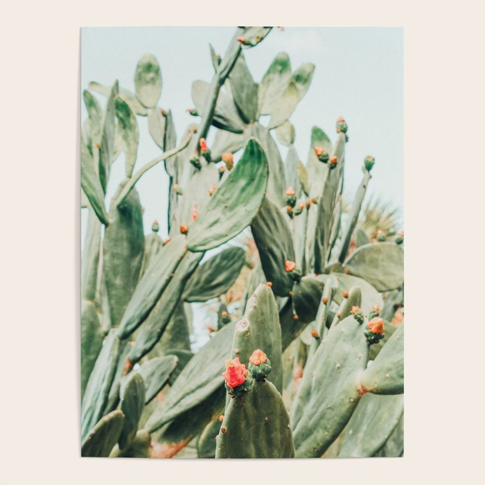 Pretty Cactus Poster Gallery Image 4