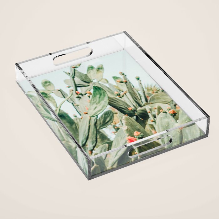 Pretty Cactus Acrylic Tray Gallery Image 1