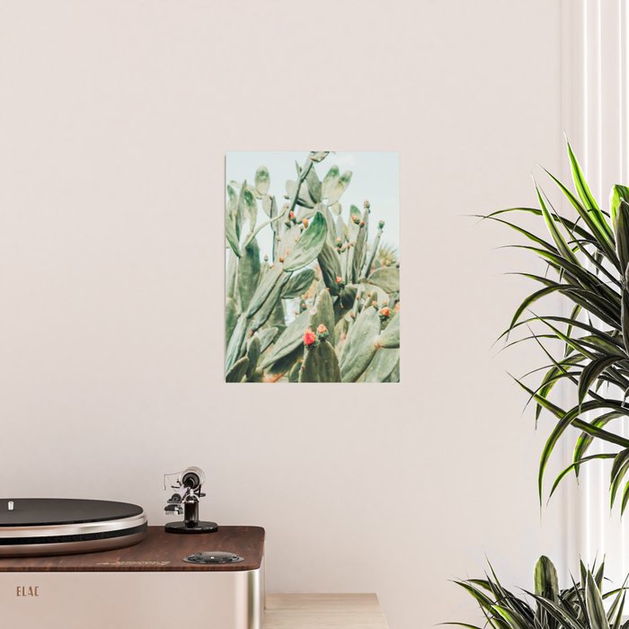 Pretty Cactus Poster Gallery Image 2
