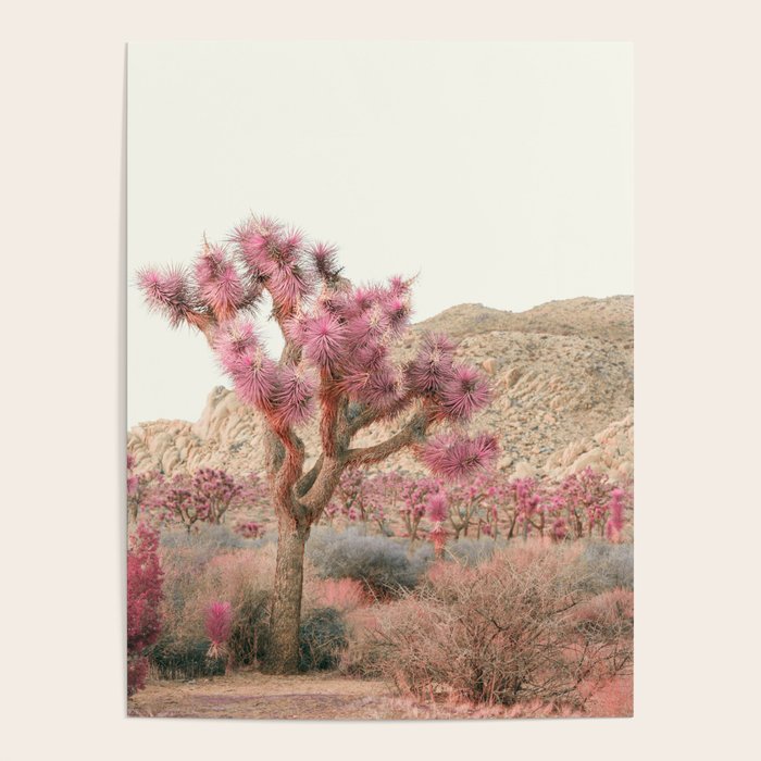 Surreal Desert #2 - Joshua Tree Nature Photography Poster