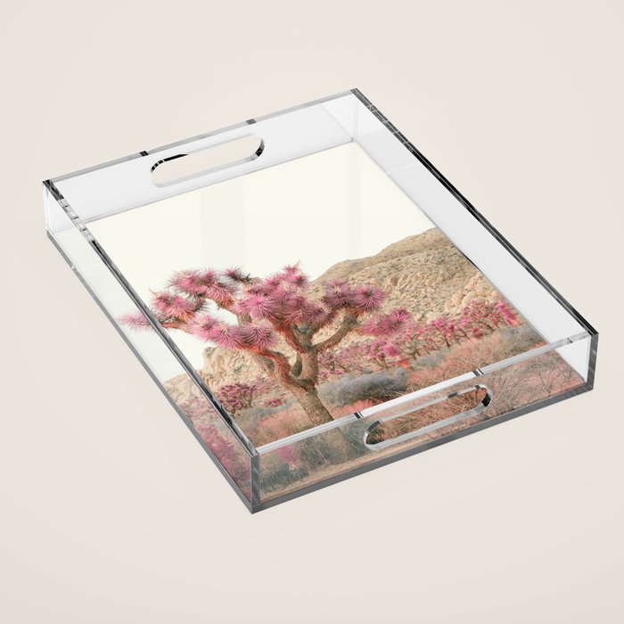 Surreal Desert #2 - Joshua Tree Nature Photography Acrylic Tray Gallery Image 1
