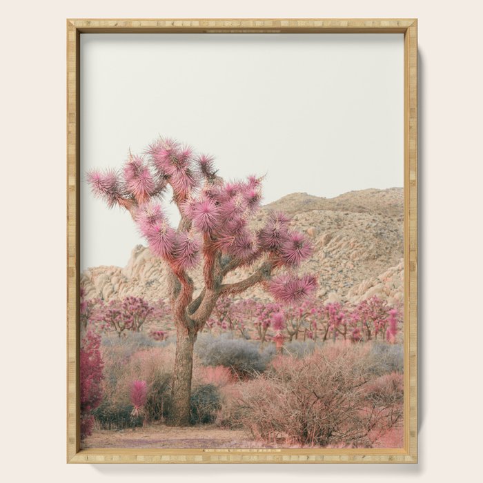 Surreal Desert #2 - Joshua Tree Nature Photography Serving Tray Gallery Image 1