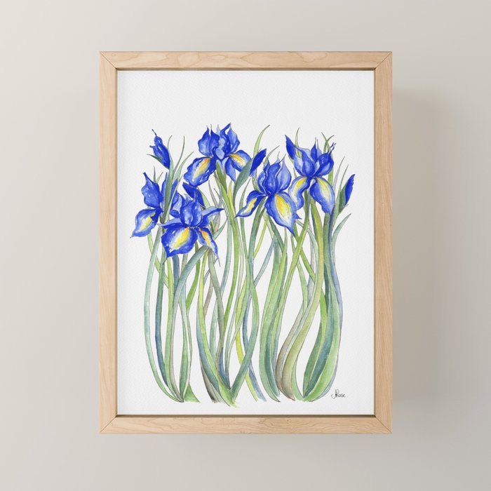 Blue Iris, Illustration Mini Art Print Gallery Image 1