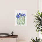 Blue Iris, Illustration Poster Gallery Image 2