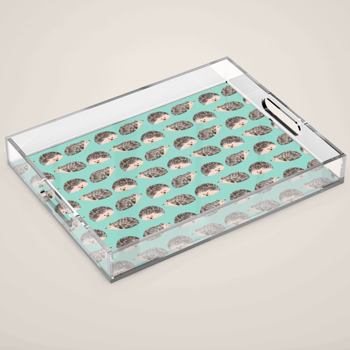 Hedgehog Turquoise Acrylic Tray Gallery Image 1