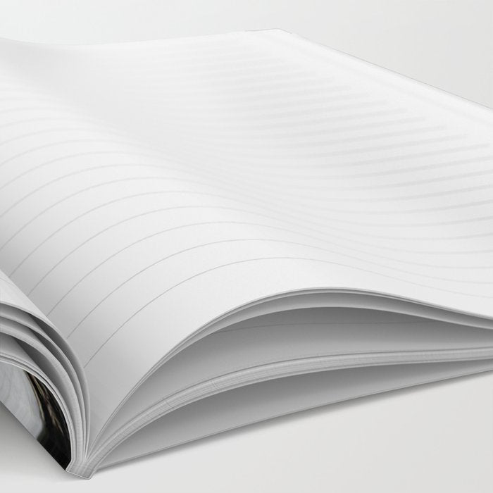 Hilma af Klint The Swan Notebook Gallery Image 2