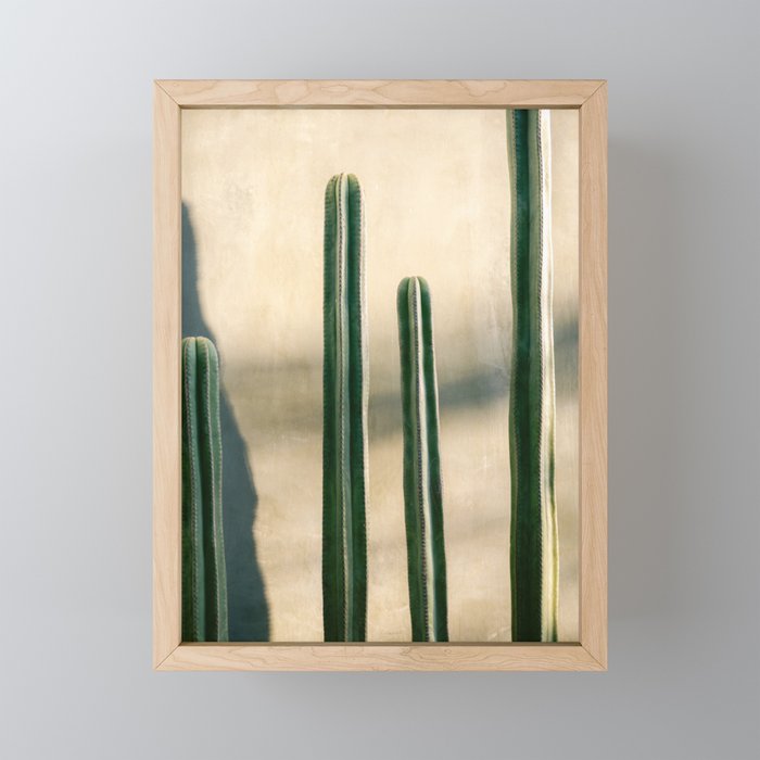 Green and Golden Cacti | Botanical travel photography Oaxaca Mini Art Print Gallery Image 1