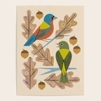 Bunting Pair In Oak Tree Poster Gallery Image 4