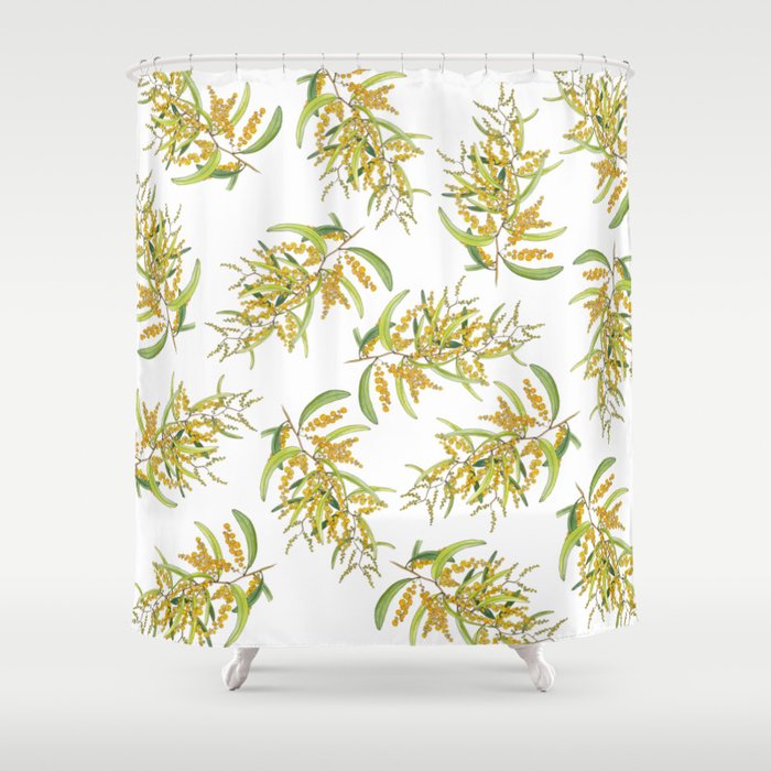 Australian Wattle Flower, Illustration Shower Curtain Gallery Image 1